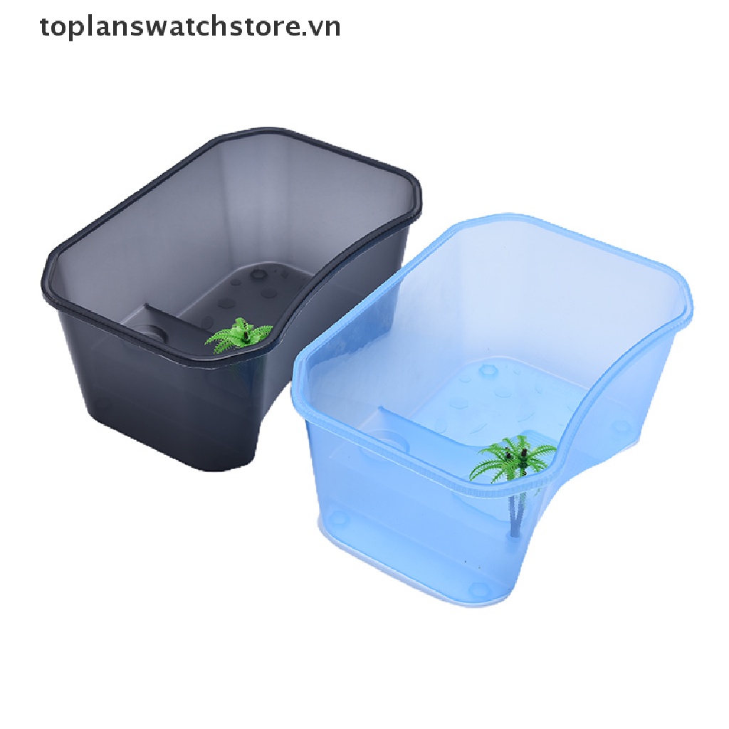 Hộp Nuôi Rùa / Rùa / Bò Sát Có Bệ Đỡ Đứng