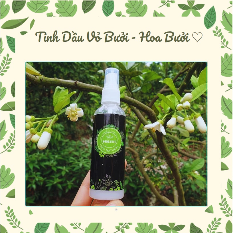 Tinh Dầu Vỏ Bưởi Hoa Bưởi Giúp Mọc Tóc ⚘