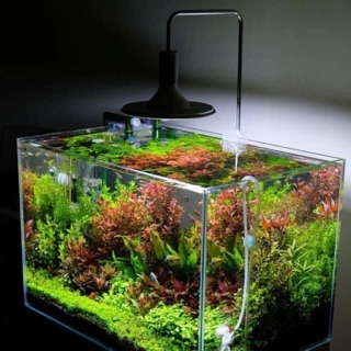 Led Đĩa XIMA 20w/40w