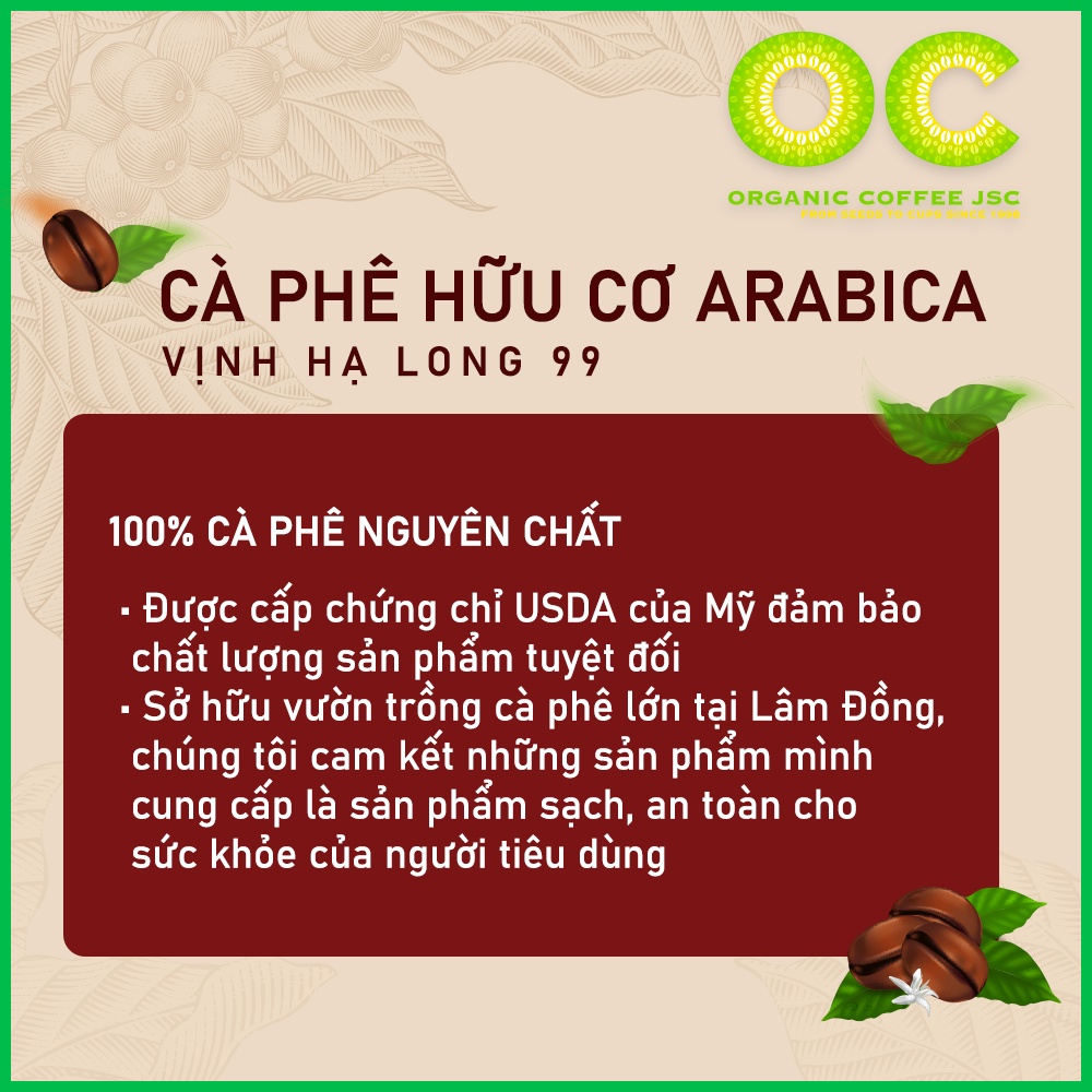 Cà phê Arabica hữu cơ rang xay nguyên chất 100% Hạ Long 99, Cafe rang mộc pha phin/máy gói 250g/500g Organic Coffee JSC