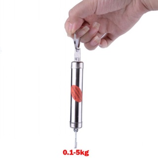 Cân lò xo cơ học 5kg có móc treo