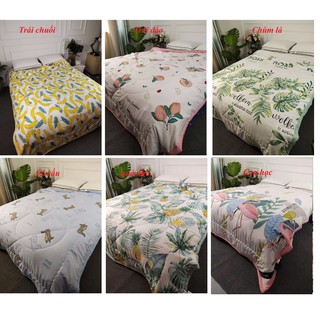 2 chăn zara dương xỉ