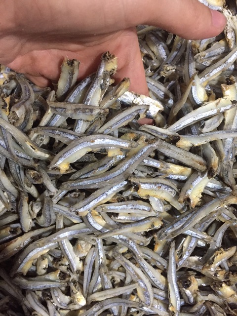 1kg CÁ CƠM XANH ngon không đầu