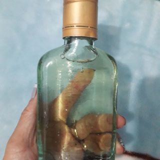 Dầu tràm huế nguyên chất 100%