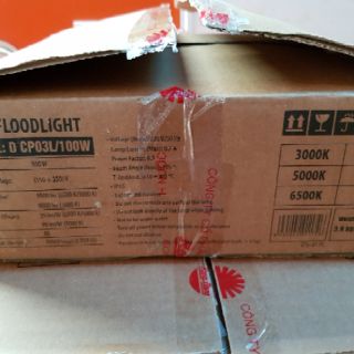 Đèn pha Led D CP06L/100W Rạng đông