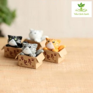 Mèo trong hộp - phụ kiện tiểu cảnh - trang trí nhà cửa