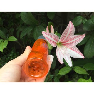 Chai xịt Dầu bóng tóc Lavox 80 ml