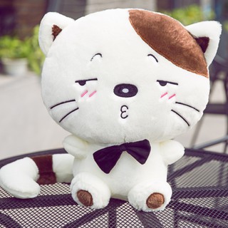 Gấu Bông Mèo MengMeng Gấu Bông Shop tại Hà Nội ( Size 65cm, có ảnh thật )
