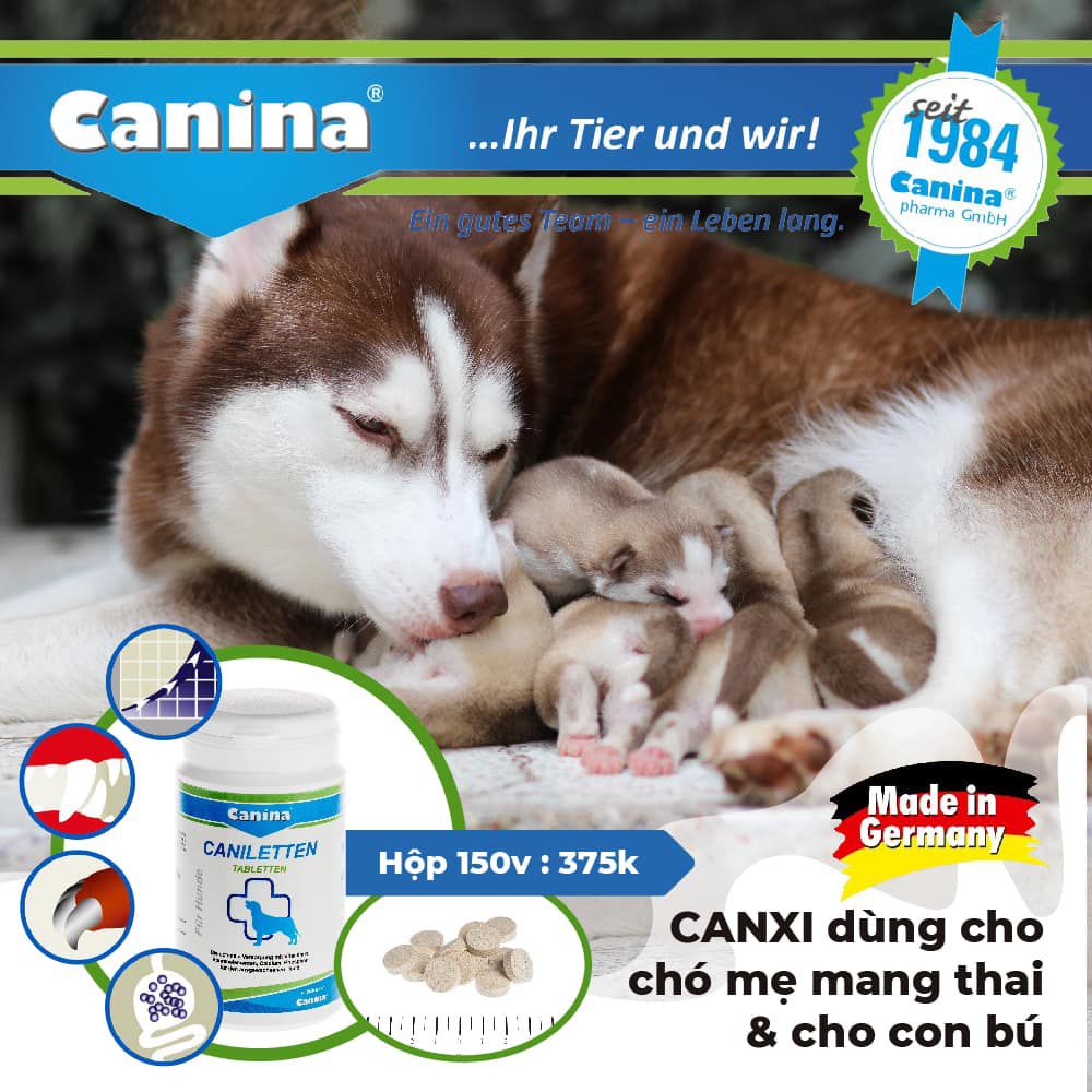 [DINH DƯỠNG CAO] Viên Canxi cho Chó CANINA CANILETTEN 1 viên - CANXI CHO CHÓ