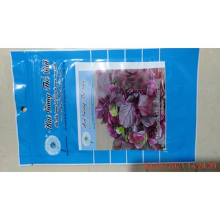 1KG Hạt Giống Rau Dền Đỏ (| Z1*V44)