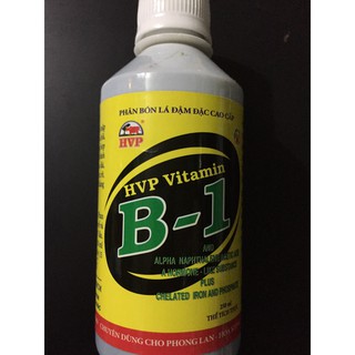 Vitamine B1 HVP 100ml