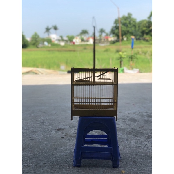Lồng Bẫy Khuyên Huế Lồng Chim Giá Rẻ Hàng Đẹp