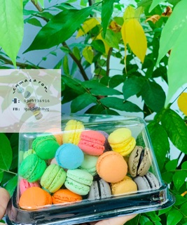 Macaron mini ( 1.5-2cm )