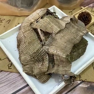 Đỗ Trọng bắc, đỗ trọng chích muối, khô, mới, nguyên chất