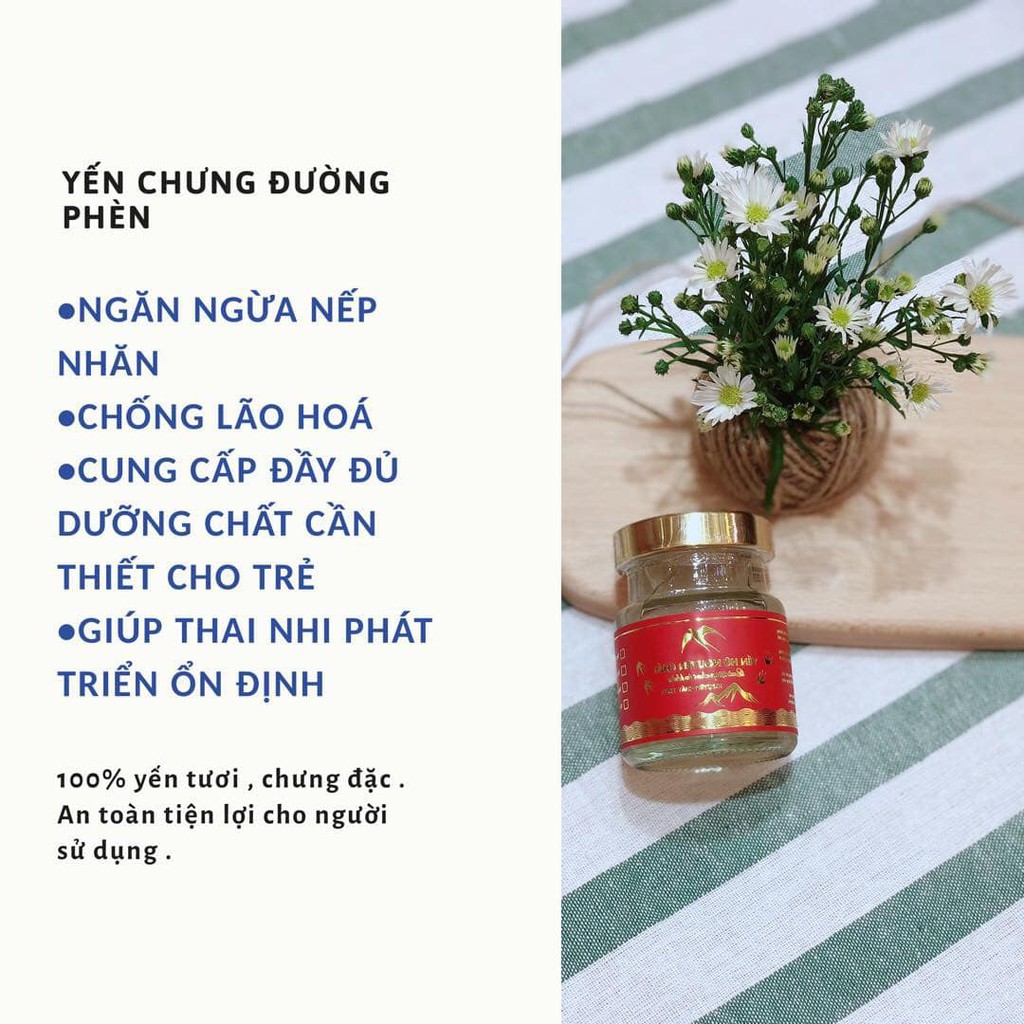 Yến hũ nguyên chất - Yến thị - Chưng đường phèn Combo 10 hũ | BigBuy360 - bigbuy360.vn