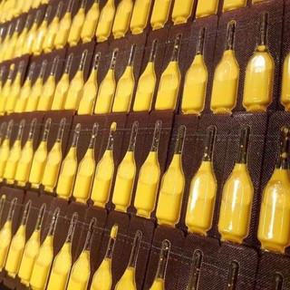 Nghệ Nano Curcumin Gold Hàn Quốc
