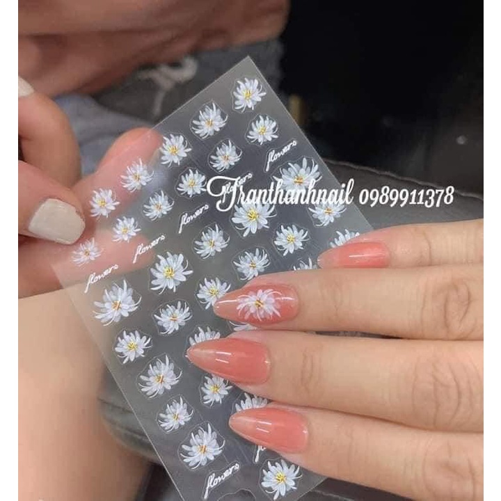 Sticker dán móng , nail sticker trang trí hình hoa bỉ ngạn