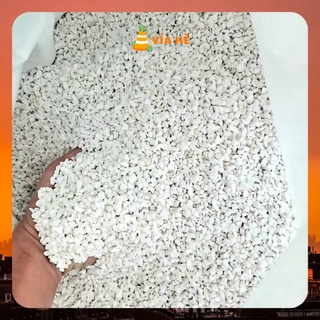 Đá Perlite Trân Châu Trồng Cây Lan Sen Đá Giá Rẻ 0.5kg