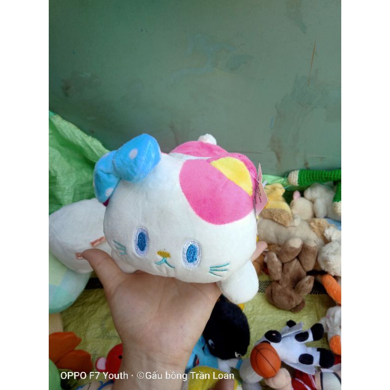 Gấu bông đồng giá 20cm