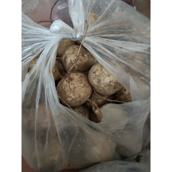 Củ Sắn 1kg