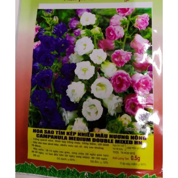 HẠT GIỐNG HOA SAO TÍM KÉP - HOA TRIỆU CHUÔNG - GÓI 0,5 GRAM