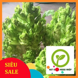 Gói 50 hạt giống cải mầm đá HAT F1