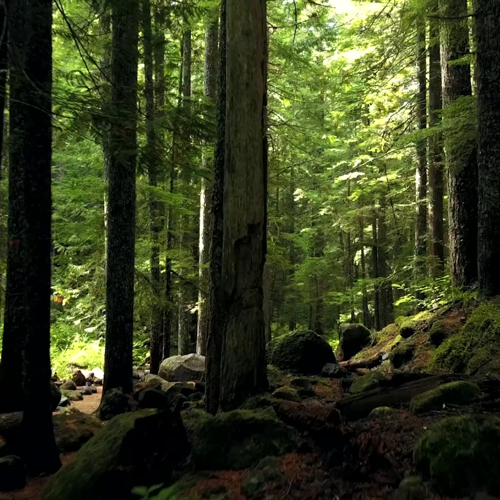 Gel tẩy tế bào chết da mặt 50g GMEELAN dịu nhẹ dưỡng trắng da làm sạch sâu lỗ chân lông | BigBuy360 - bigbuy360.vn