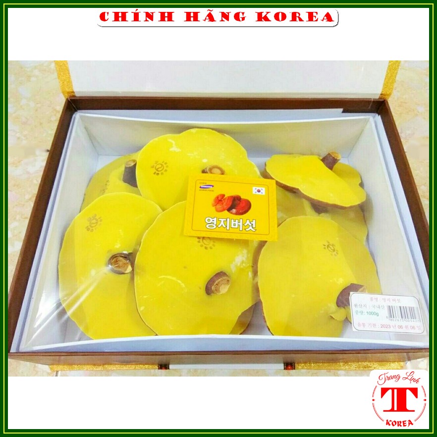 Nấm linh chi hàn quốc thượng hạng - Nấm hộp quà Kana 1kg, tranglinh