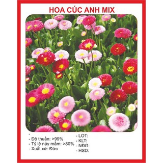Combo hạt giống 890k