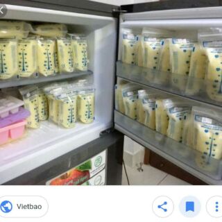 Máy hút sữa điện đôi Real Bubee