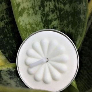5 Nến trắng tealight