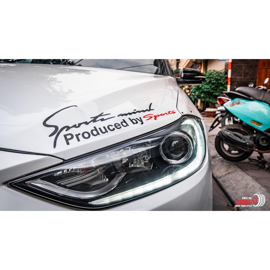 Tem sườn dán trang trí xe Ecosport kèm quà tặng