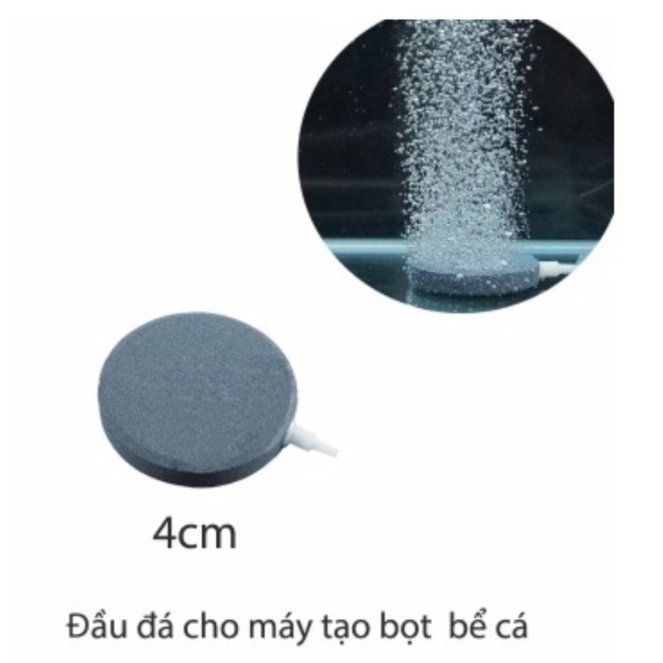 Sủi đĩa oxy 4cm, 6cm, 8cm, 10cm