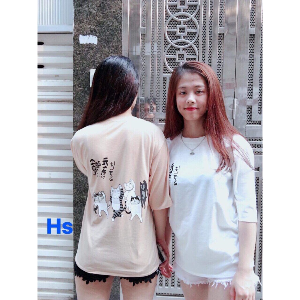 Áo phông nữ sáu mèo in lưng HSU0319
