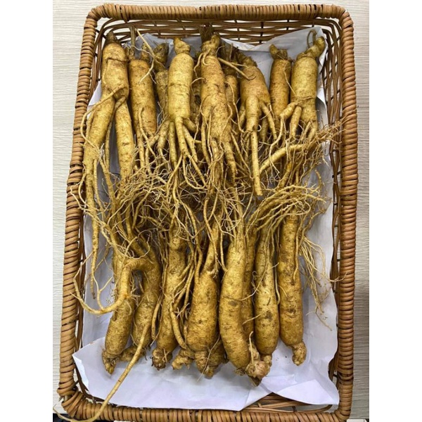 Sâm tươi Hàn Quốc
