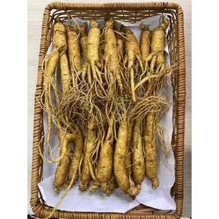 Sâm tươi Hàn Quốc