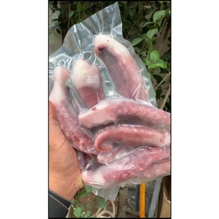 râu tuộc khổng lồ 💥 GIÒN SẦN SẬT💥 net 7 giòn thơm hấp, xào,chiên