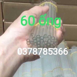 Ống thuỷ tinh thí nghiệm combo 60 ống