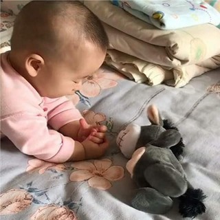 lừa biết nhại tiếng người
