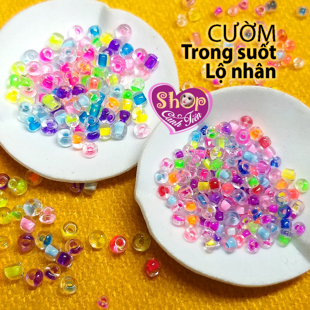 50gr Hạt Cườm Trong suốt Phản quang Trang trí Thủ công 2mm, 3mm – Hàng Hiếm