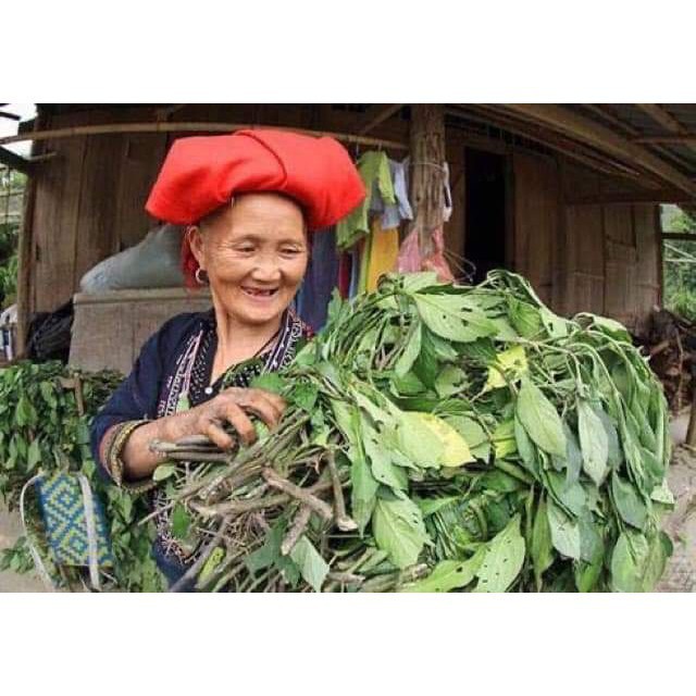 [Giá Gốc Tận Xưởng] Lá Xông Sau Sinh Cho Mẹ Lá Xông Thuốc Tắm Sau Sinh Của Người Dao Đỏ Giúp Sạch Sản Dịch | BigBuy360 - bigbuy360.vn