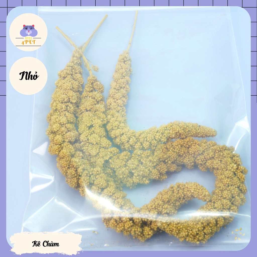 Kê Chùm cho Hamster -  Shop cân theo gram
