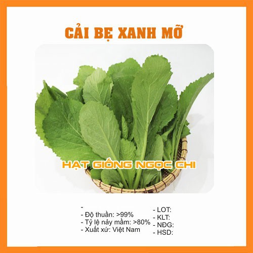 Hạt Giống Rau Cải Bẹ Xanh Mỡ - 20Gr~4000 Hạt