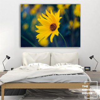 Tranh in Canvas Hoa Cúc Vàng Rực Rỡ (Hình thật tại xưởng - Đã có khung, móc, đinh treo) - The Canvas House
