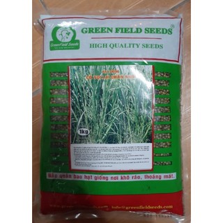 Hạt giống cỏ voi gói 1kg
