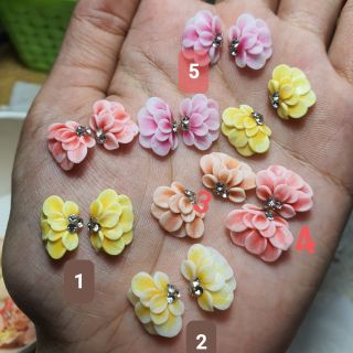 Hoa bột- cúc tầng