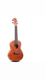 Ukulele BWS 23 full pk