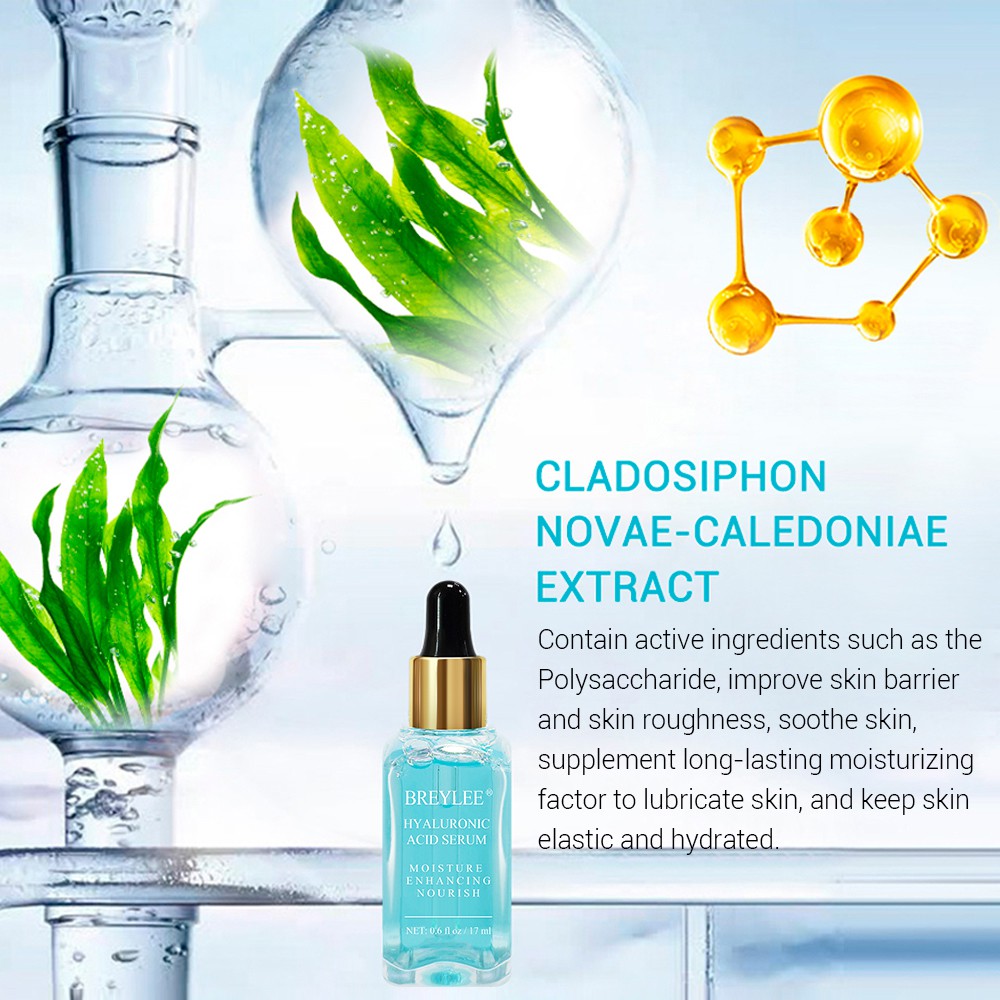 Serum Axit Hyaluronic Dưỡng Ẩm Sâu Chống Lão Hóa Chống Oxy Hóa Chăm Sóc Da Hiệu Breylee 17ml