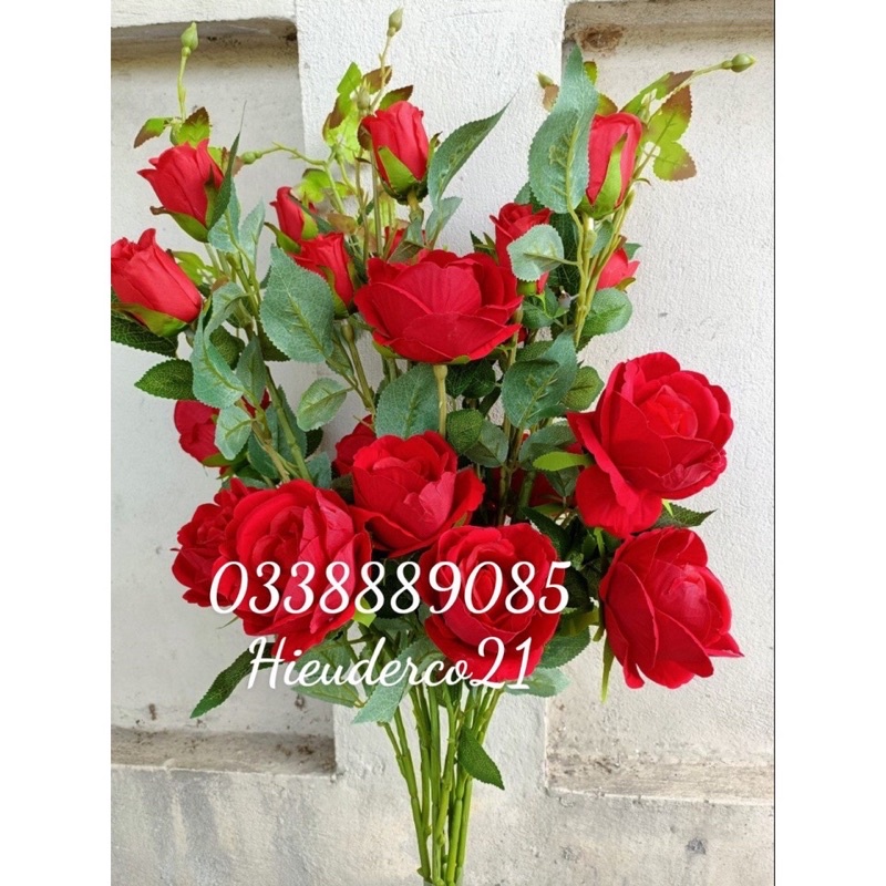 Cành hoa hồng nhung đỏ 3 bông to, 2 nụ lớn, nhiều nụ nhỏ trang trí cực đẹp
