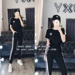 Set TT Das Logo siêu đẹp